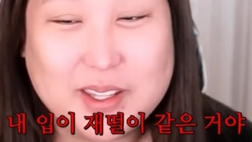 [유튜브 '풍자테레비']