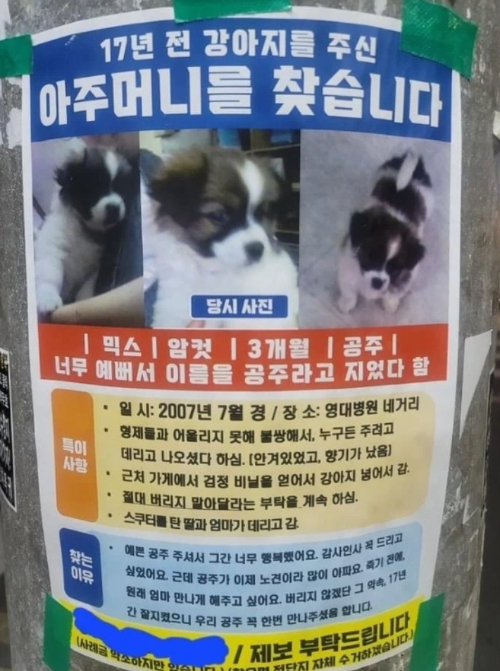 [온라인 커뮤니티]