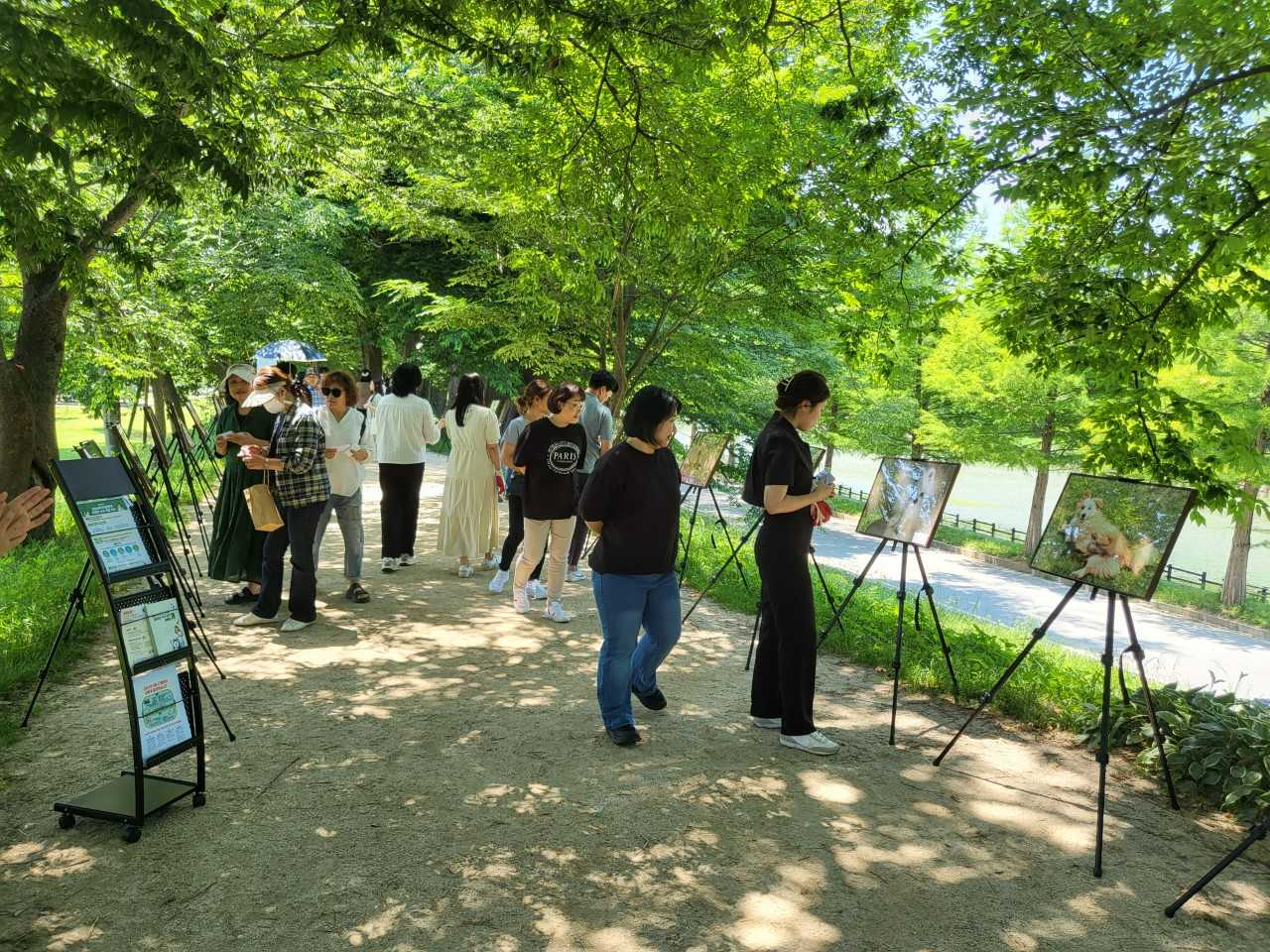 담양군은 지난 9일과 10일 관방제림 산책로에서 담양군에서 보호하고 있는 유기견들의 모습을 담은 특별한 사진전을 개최했다.