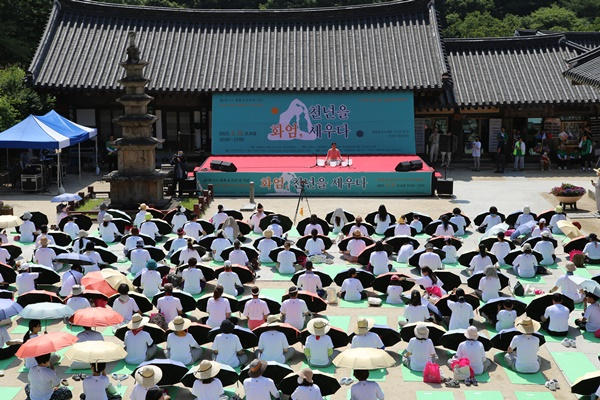 요가대축제 참가자들이 대회에 임하고 있다.