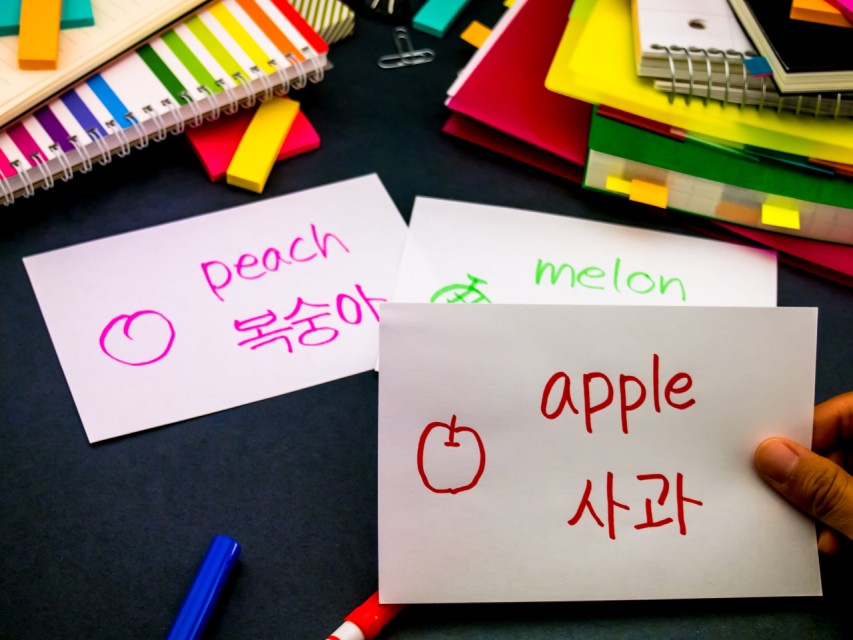 Korean proficiency test measures memory, not skill