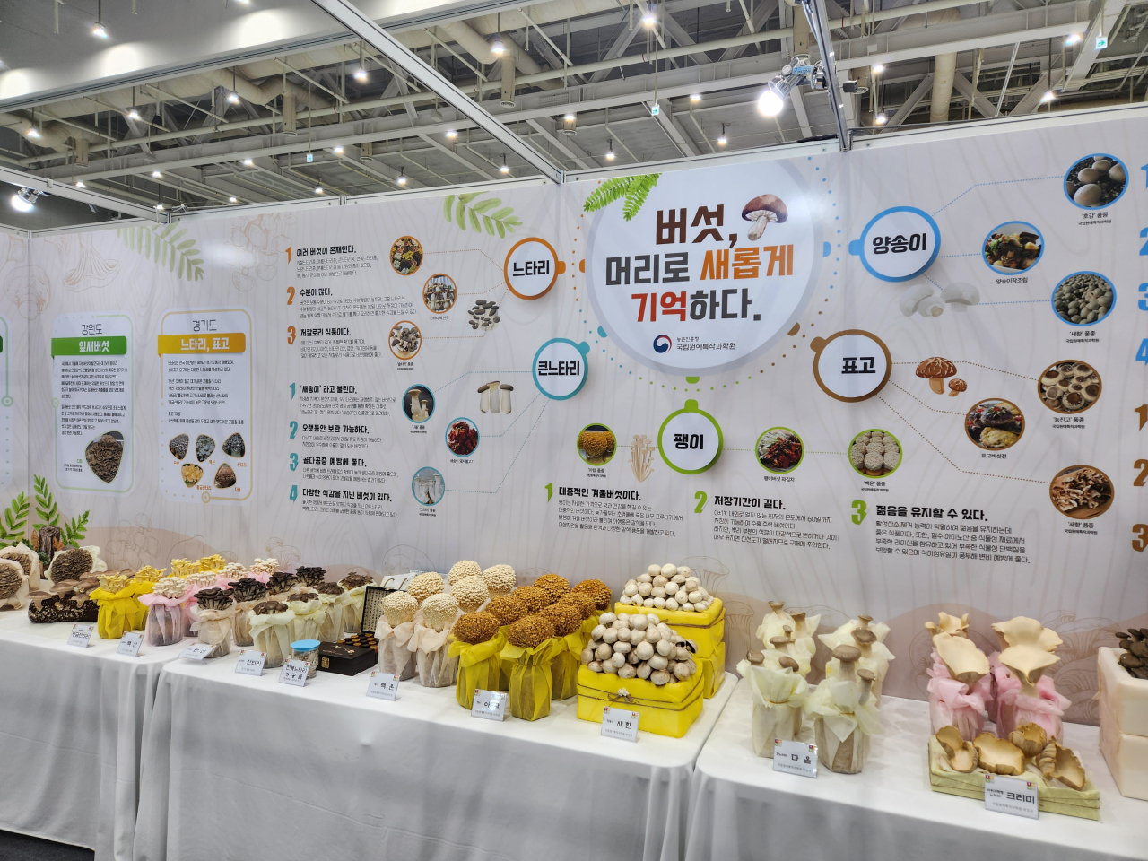 농촌진흥청이 마련한 버섯 부스.