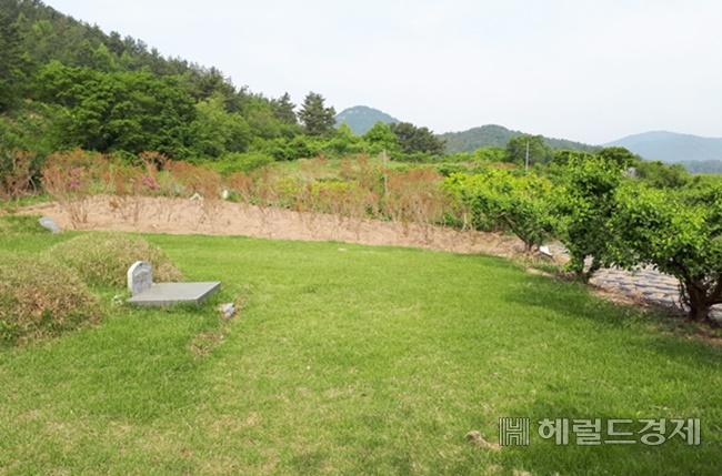 순천 모 지역 묘지. /박대성 기자.
