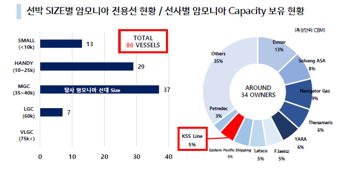 “2030년 1100만t 시장 열린다”…해운·물류업계, 너도나도 ‘암모니아’ [비즈360]