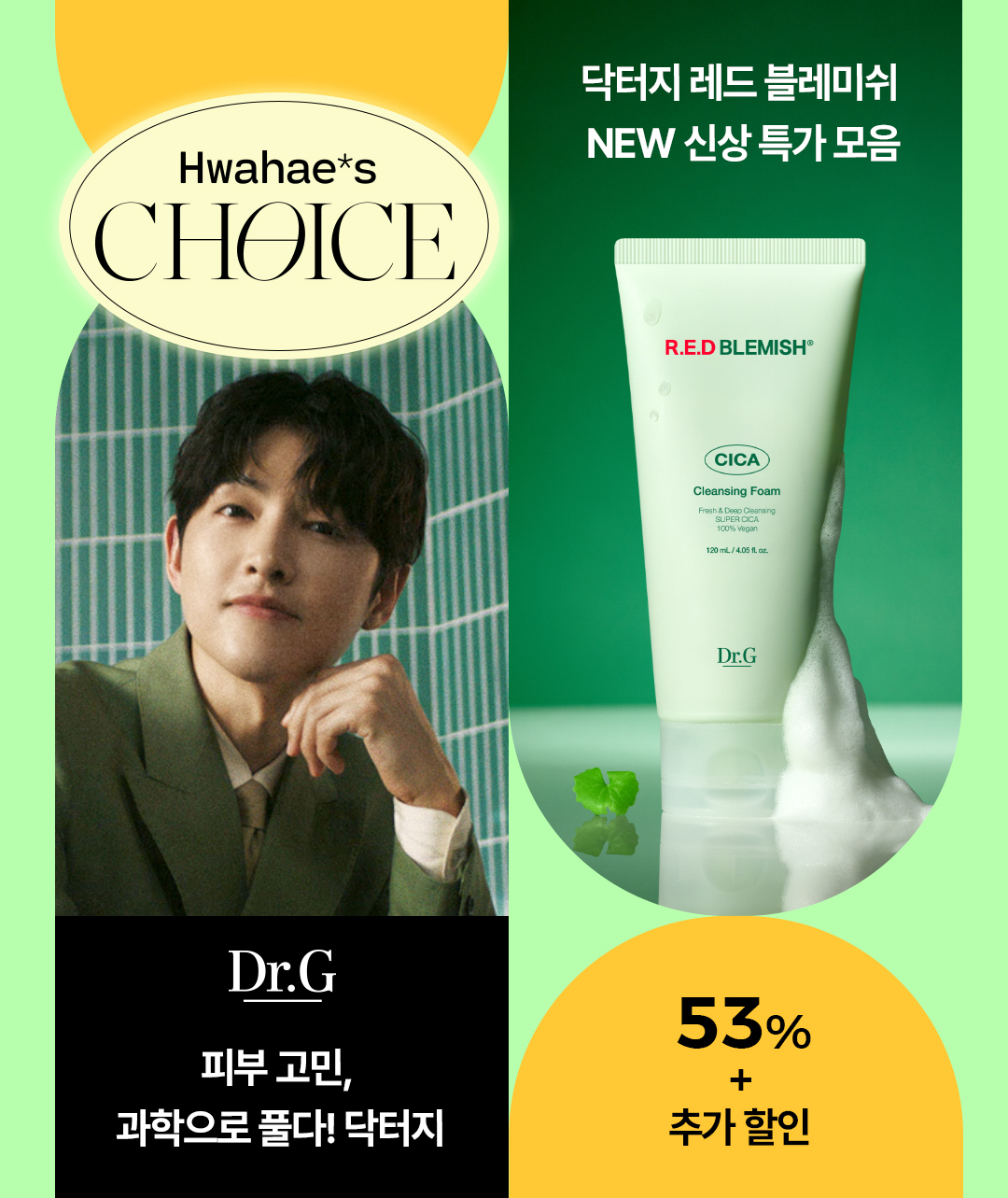 [화해 제공]