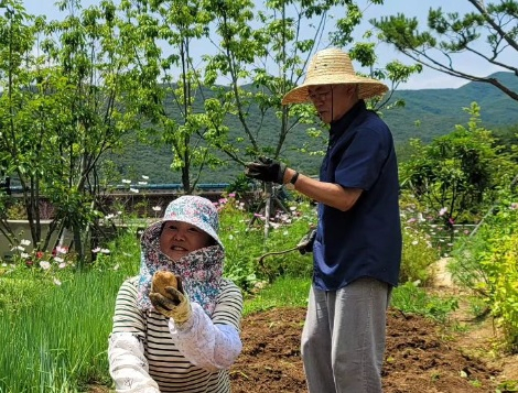 ‘밭일에 진심’ 文 전 대통령 부부, 감자농사 근황 공개