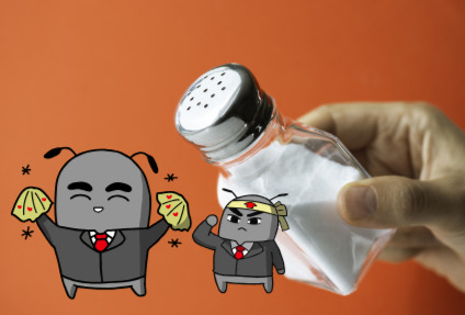 [망고보드]