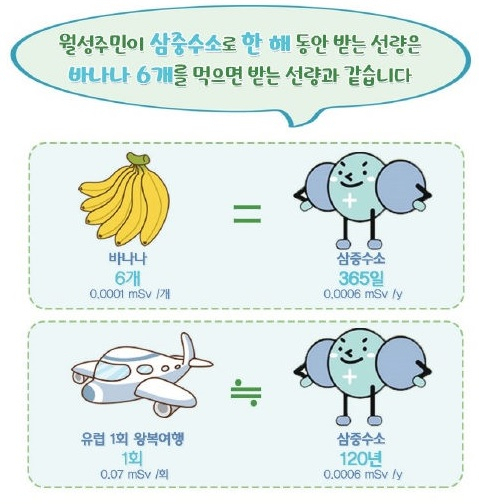 한국수력원자력이 월성 원전 인근 주민들의 방사능 피해에 대한 우려를 불식시키기 위해 2017년 낸 '저선량 방사선의 인체 영향' 자료 중 일부. 최근 박일영 충북대 약대 교수는 이와 유사한 취지에서 "오염수 방류 농도로 희석한 물 1L를 마실 때, 그 속에 들어있는 삼중수소의 실효 선량은 바나나 1개 먹을 때의 약 4분의 1"에 불과하다며 "삼중수소가 북태평양의 바닷물에 희석돼 한국 근해로 돌아올 때 농도의 물이라면 평생 마셔도 문제가 없다"고 주장해 논란이 됐다.