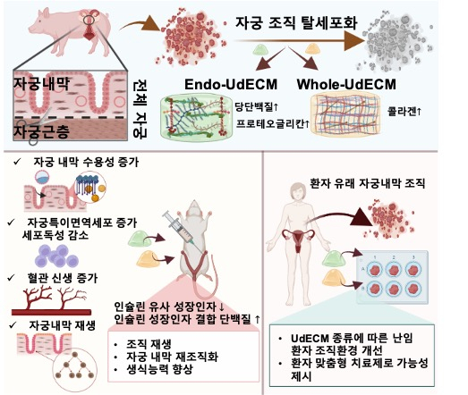 연구팀이 개발한 하이드로젤의 효과 모식도.[포스텍 제공]