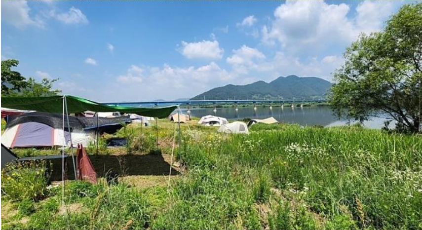 창원시 낙동강 하천구역 내 '알박기' 텐트들. 텐트는 쳐져 있지만 사람은 보이지 않는다. [온라인 커뮤니티 갈무리]