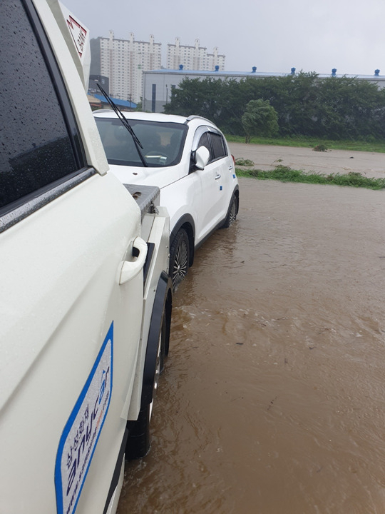 [삼성화재 제공]
