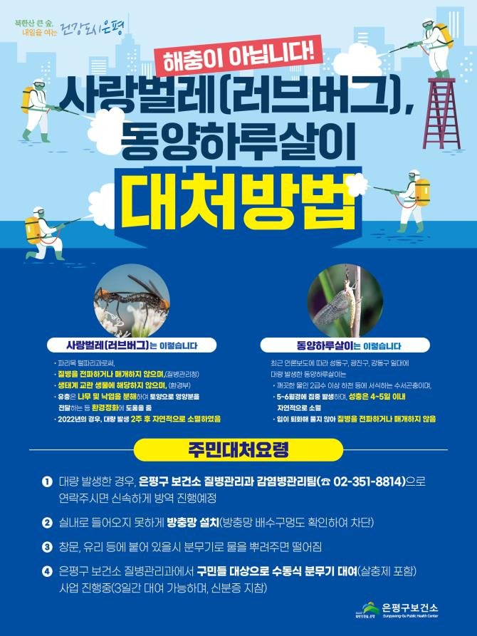 러브버그 대처방법 안내. [은평구]