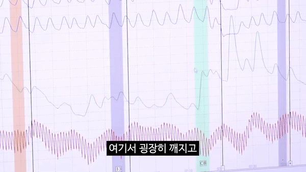 [충주시 유튜브 갈무리]