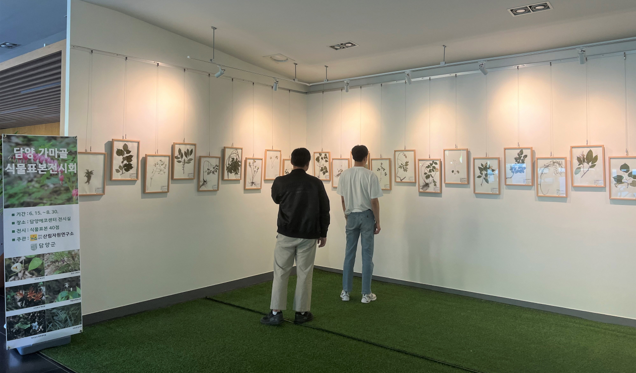 담양군이 8월30일까지 가마골 식물 표본 전시회를 개최햔다