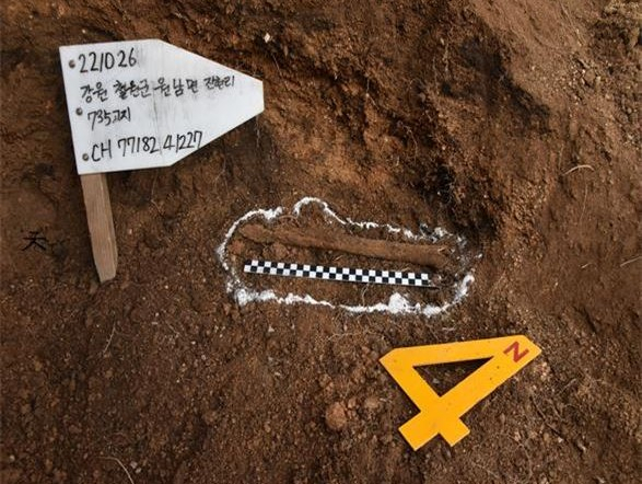 국방부 유해발굴감식단이 2010년 6월 강원도 철원군 근남면 마현리에서 발굴된 6·25전쟁 전사자 유해의 신원을 국군 2사단 소속 고(故) 김현택 일병으로 확인했다고 23일 밝혔다. 사진은 발굴 당시 고(故) 김현택 일병 유해. [연합뉴]