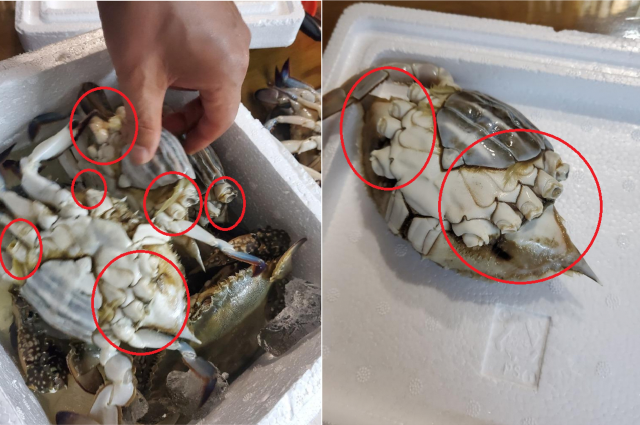 [온라인 커뮤니티]
