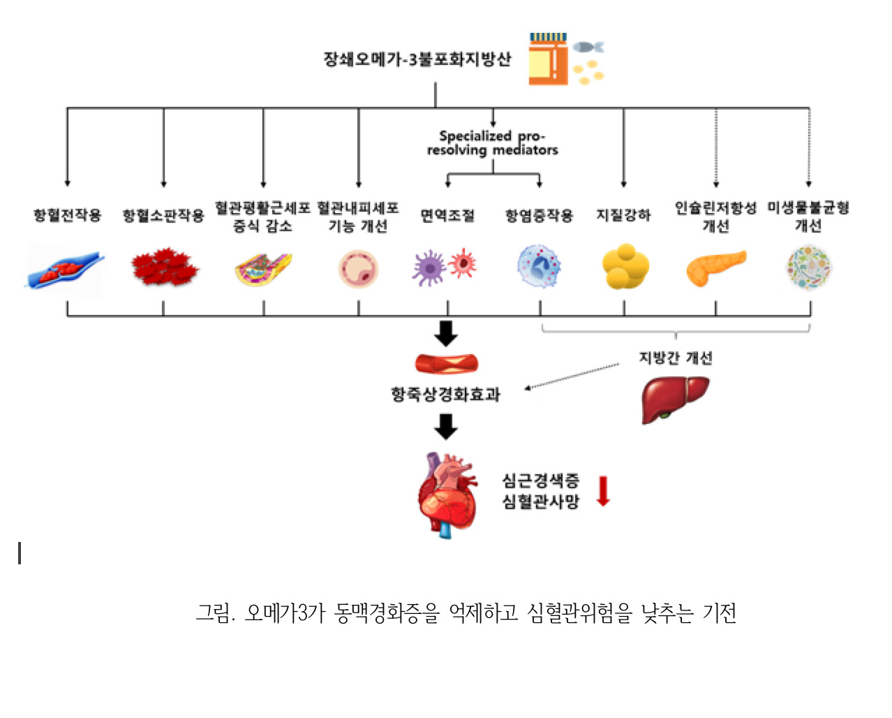 [분당서울대병원 제공]