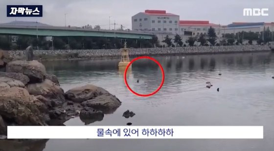 [MBC 뉴스 영상 캡처]
