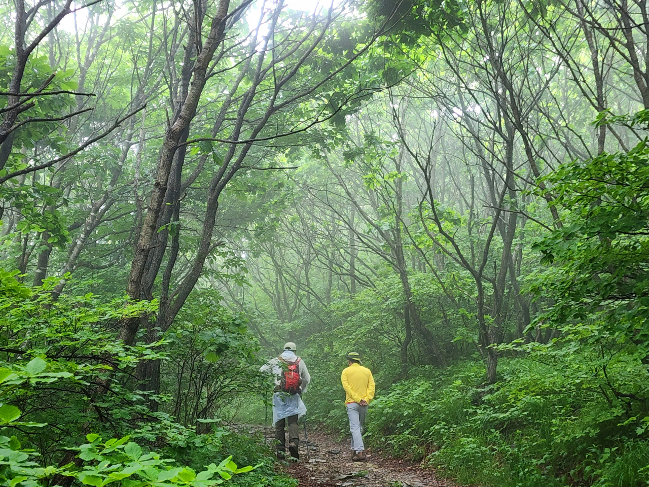 두문동 야생화 트레킹