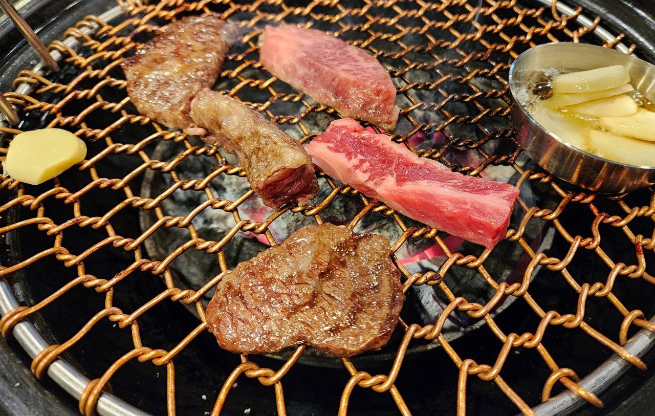 태백 고산지 한우