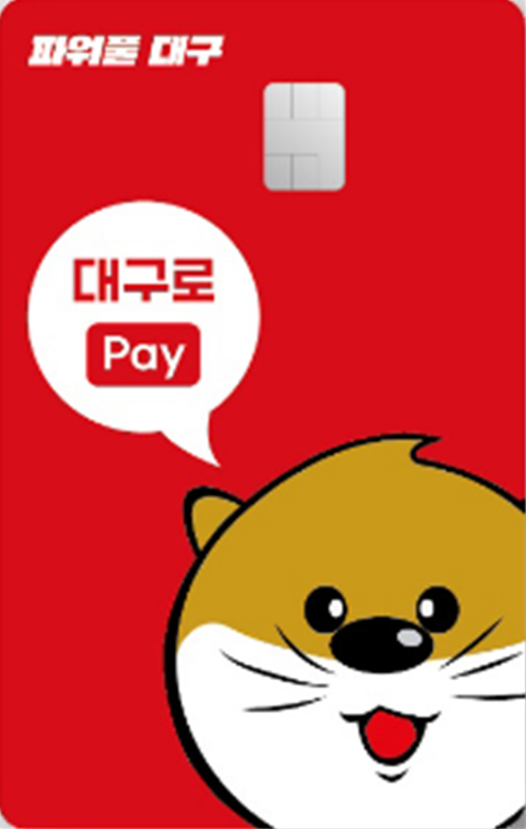 대구로페이[대구시 제공]