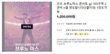 중고거래 티켓 사이트에 올라온 브루노 마스 공연 티켓 거래창 [인터넷 캡처]