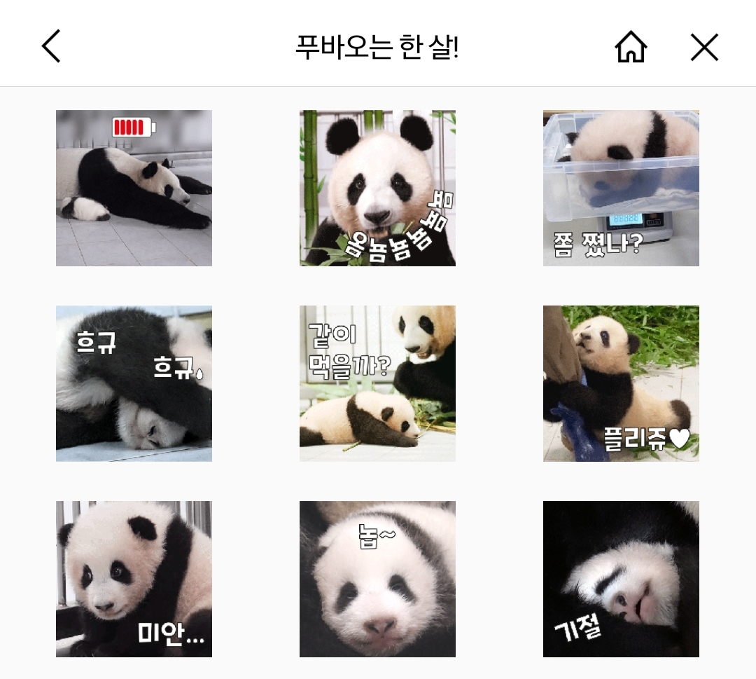 푸바오 이모티콘
