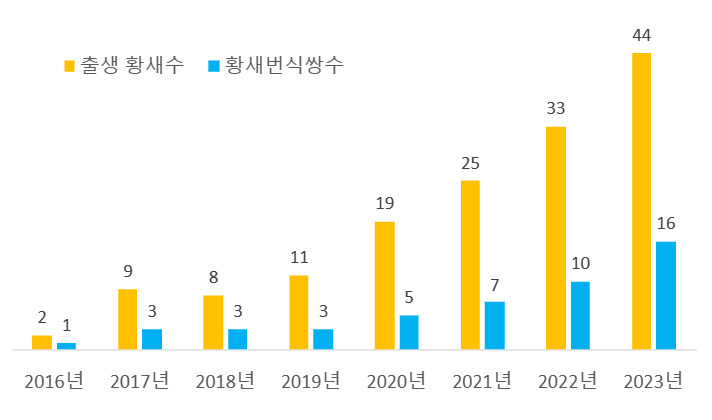 황새 번식쌍 수와 출생 황새수 증가 그래프