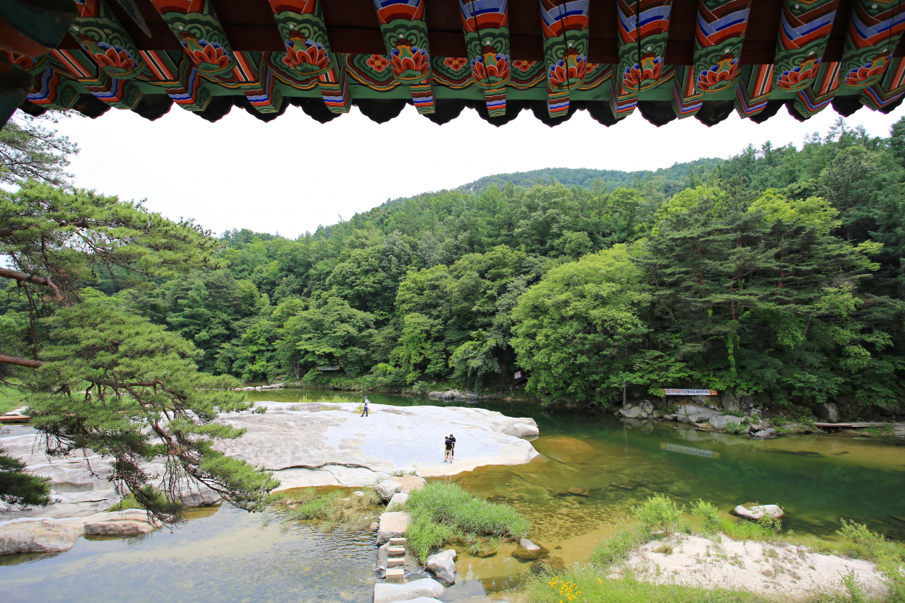 동호정에서 바라본 풍경 [촬영=김수진 작가]