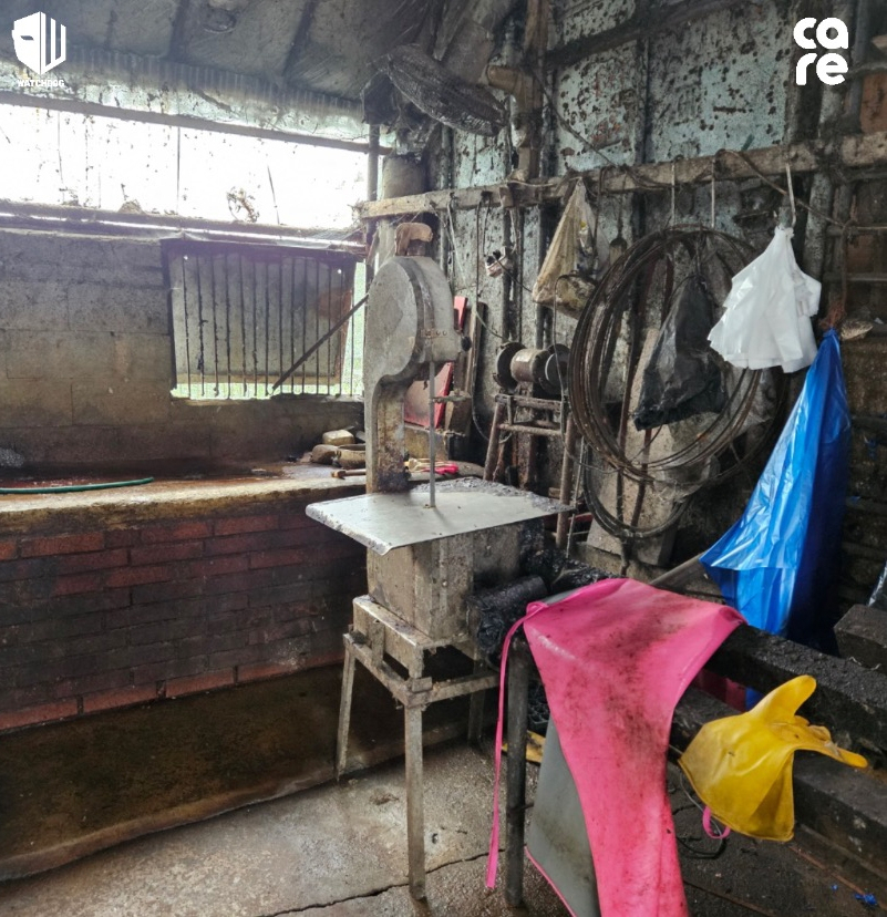 29일 오전 7시께 도살장 업주 A씨가 익산의 한 도살장에서 불법을 자행하는 모습이 목격됐다.