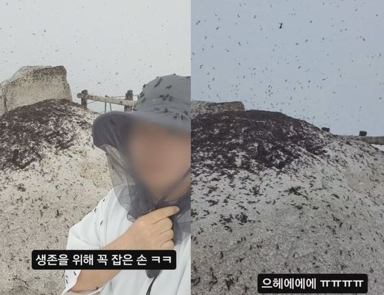 [인스타그램]