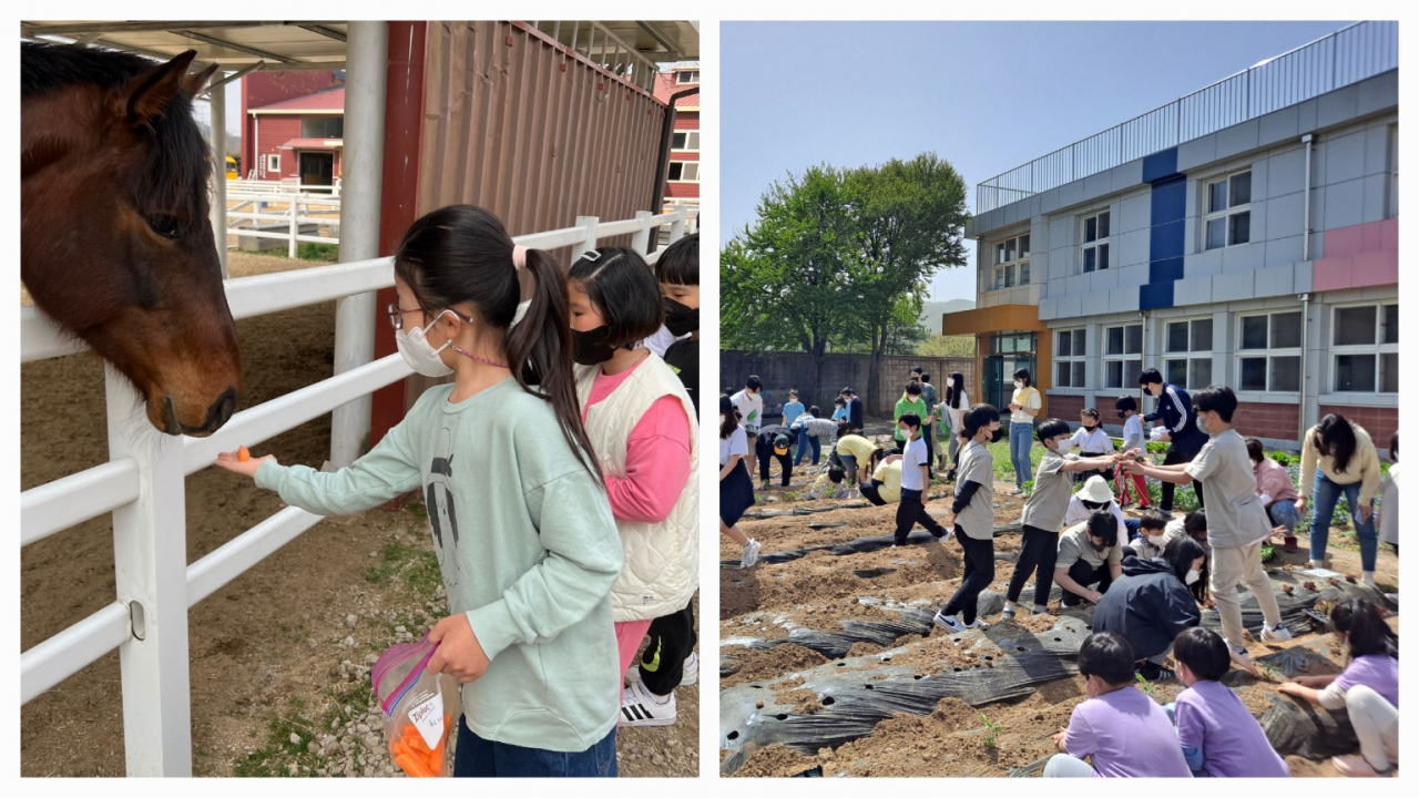 [경기도교육청 제공]