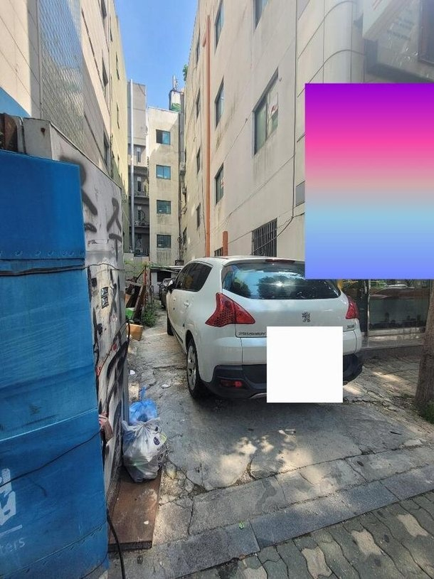 푸조 차량이 상가 건물 주차장 입구를 막고 서 있다. [보배드림]