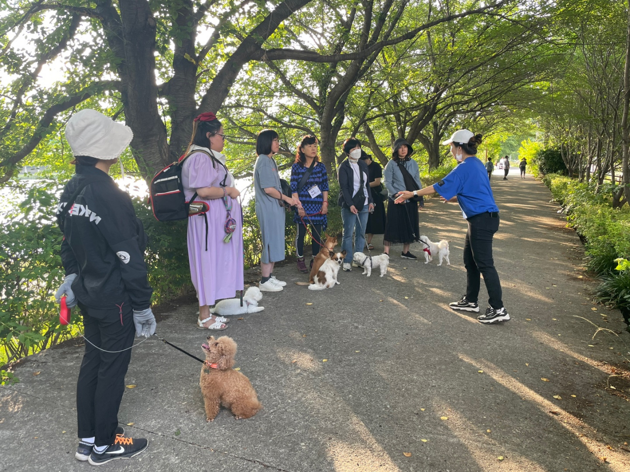 전남도가 반려동물 복지를 체계적으로 정립하기로 했다