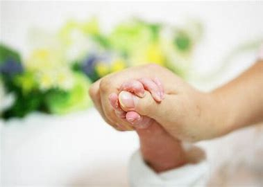 이 사진은 기사와 관계없음