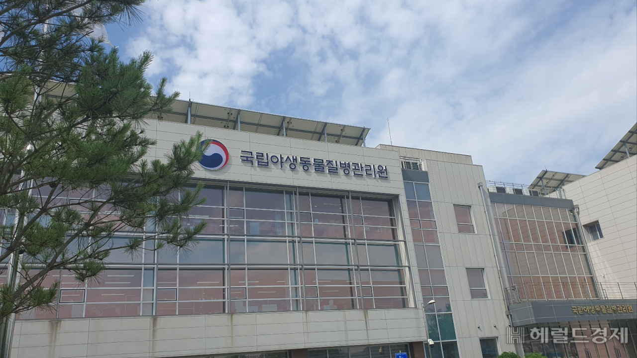 환경부 산하 국립야생동물질병관리원은 광주와 전남함평 인근 부지에 3년전 설립됐다. 82명의 직원이 근무하고 있다. 서인주 기자