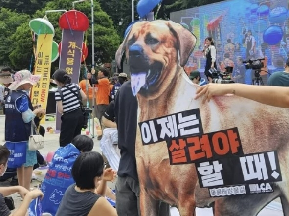 2023 개 식용 종식 촉구 국민대집회. [연합뉴스]