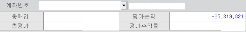 지난 4일 한 주식투자자가 올린 주식 평가손익 화면