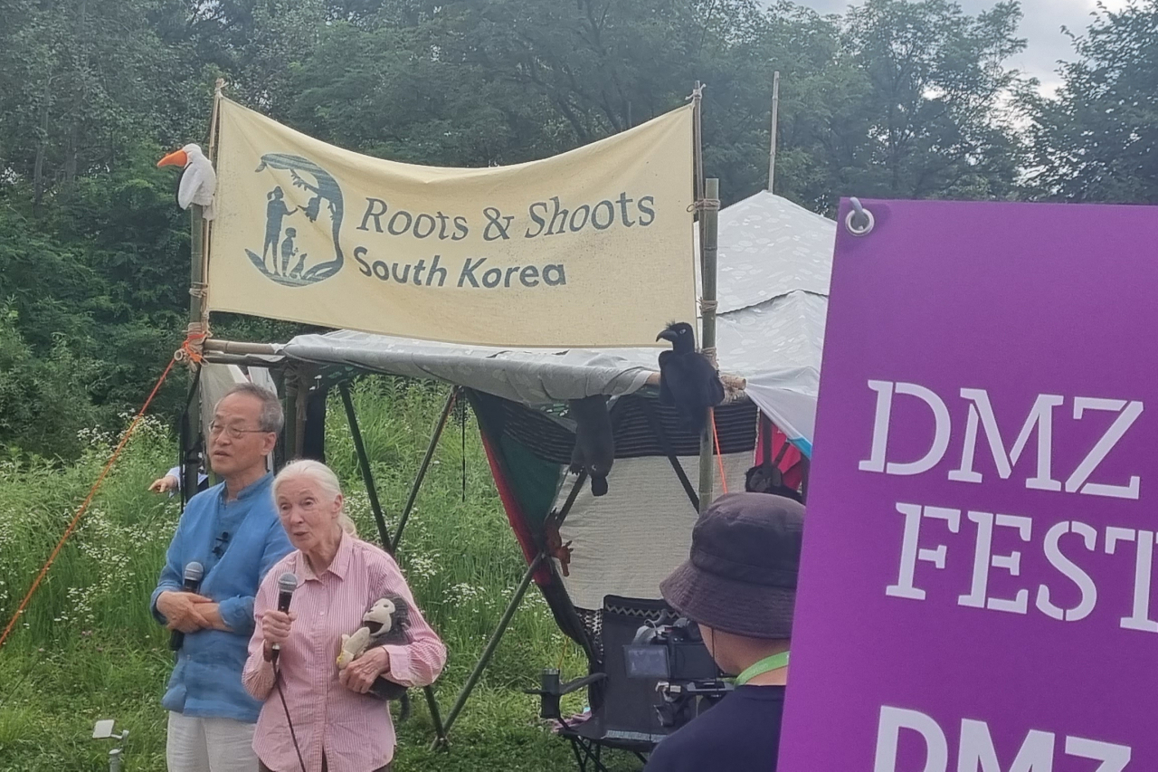 세계적인 영장류학자이자 환경운동가인 제인 구달 박사가 정전 70년을 맞아 지난 8일 경기도 파주시 장산전망대에서 열린 경기도 디엠지 오픈 페스티벌 '뿌리와 새싹 DMZ 생태평화 선언'에서 발언하고 있다. [연합]