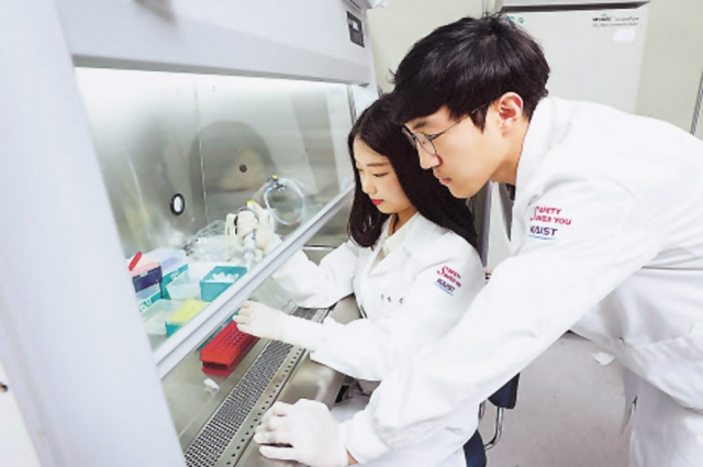 KAIST 의과학대학원 학생들이 실험을 하고 있다. [KAIST 제공]