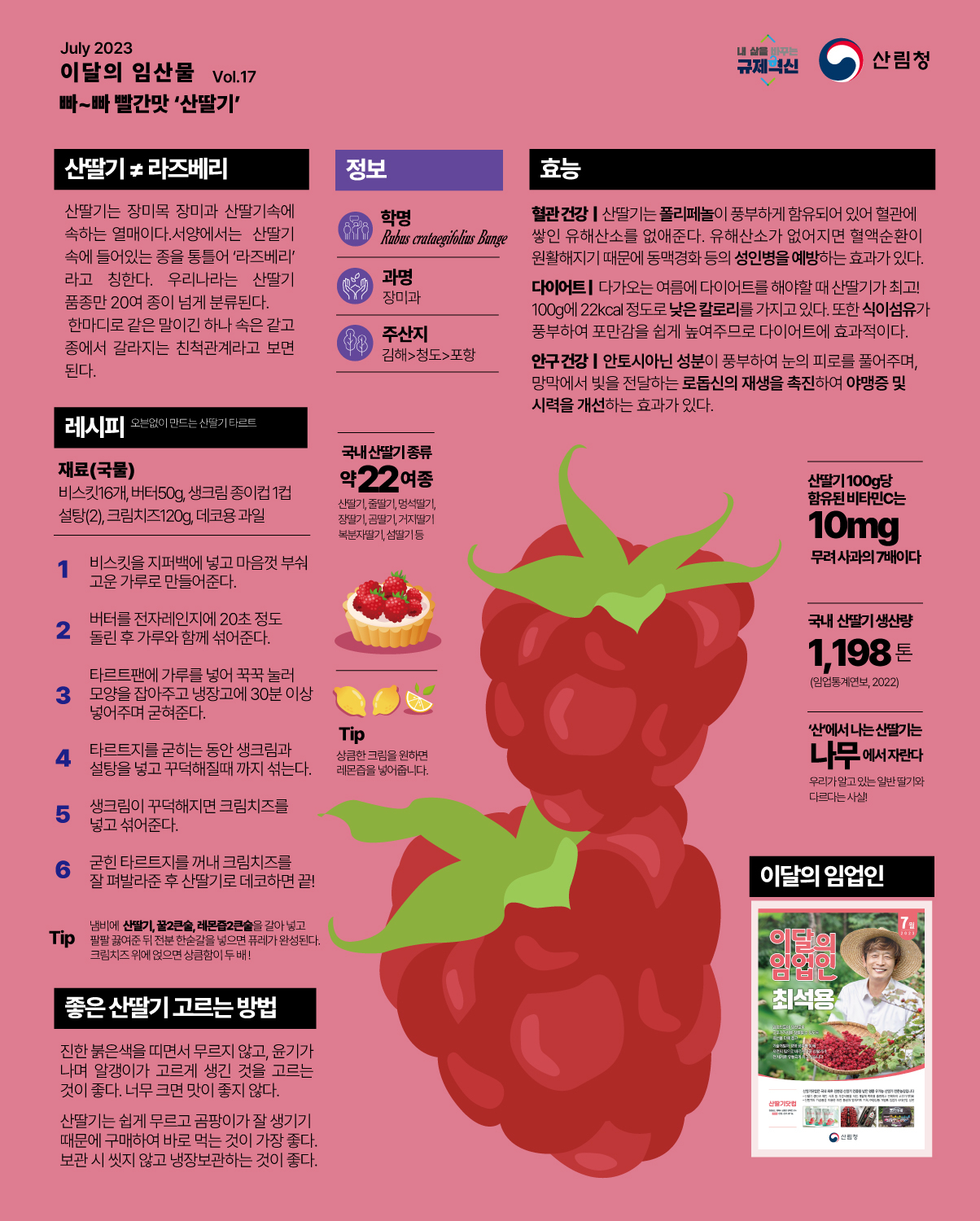 산림청이 이달의임산물(7월)로 지정한 산딸기