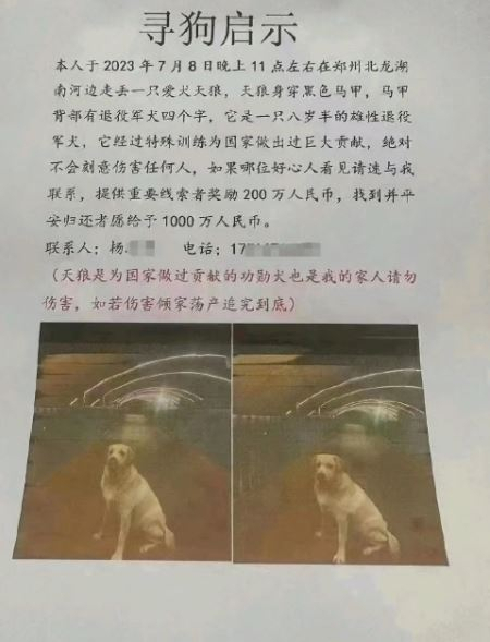 양씨가 일어버린 반려견 톈랑을 찾아주면 1000만위안의 포상금을 주겠다고 붙인 공고문 [웨이보]
