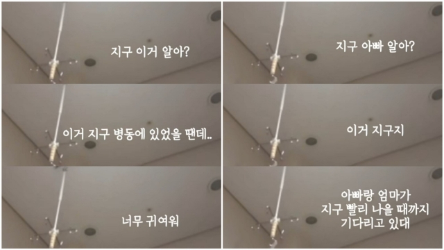 [A 씨 인스타그램]