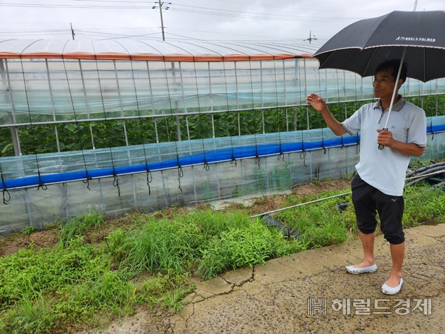 구례군 마산면 오이농장을 운영하는 임병준씨가 수해 피해상황을 설명하고 있다. /박대성 기자.