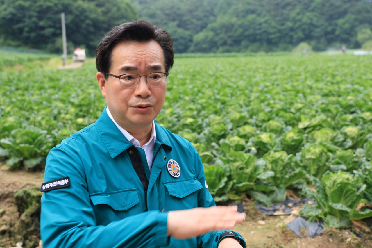 정황근 농림축산식품부 장관이 지난 20일 강원 특별자치 평창군 대관령면에 위치한 여름 배추밭을 방문해 배추 생육상태를 확인하고 있다. [연합]