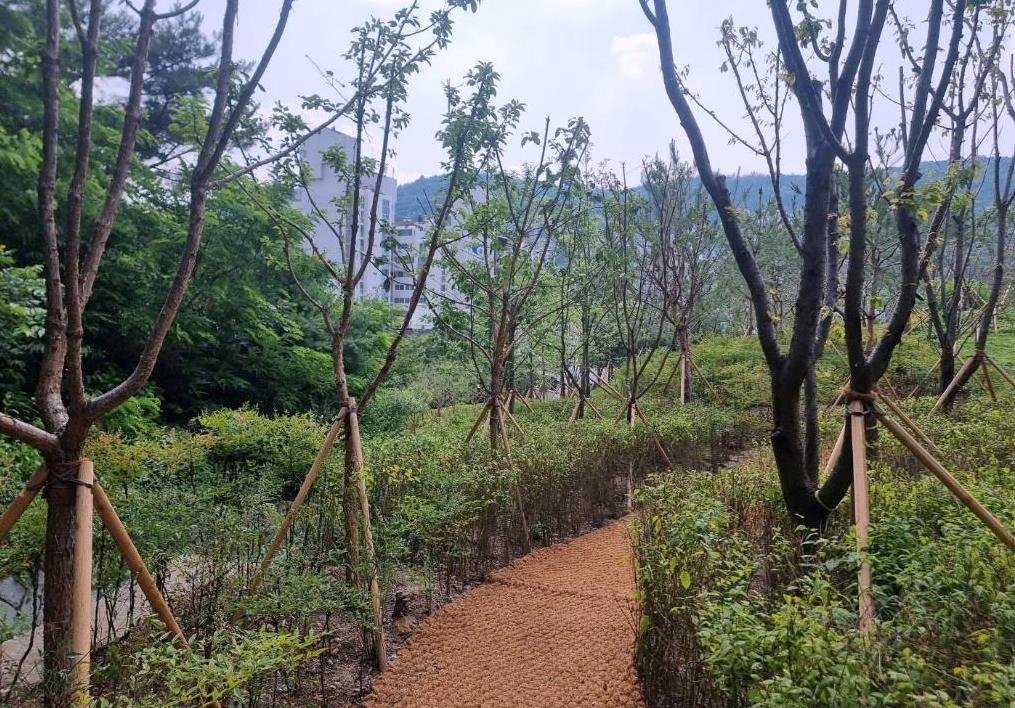 서울 서대문구는 안산근린공원 입구 인근 4곳을 새롭게 공원으로 조성했다고 24일 밝혔다. 사진은 홍제동 산41-38 일대 공원 조성 후. [서대문구 제공]