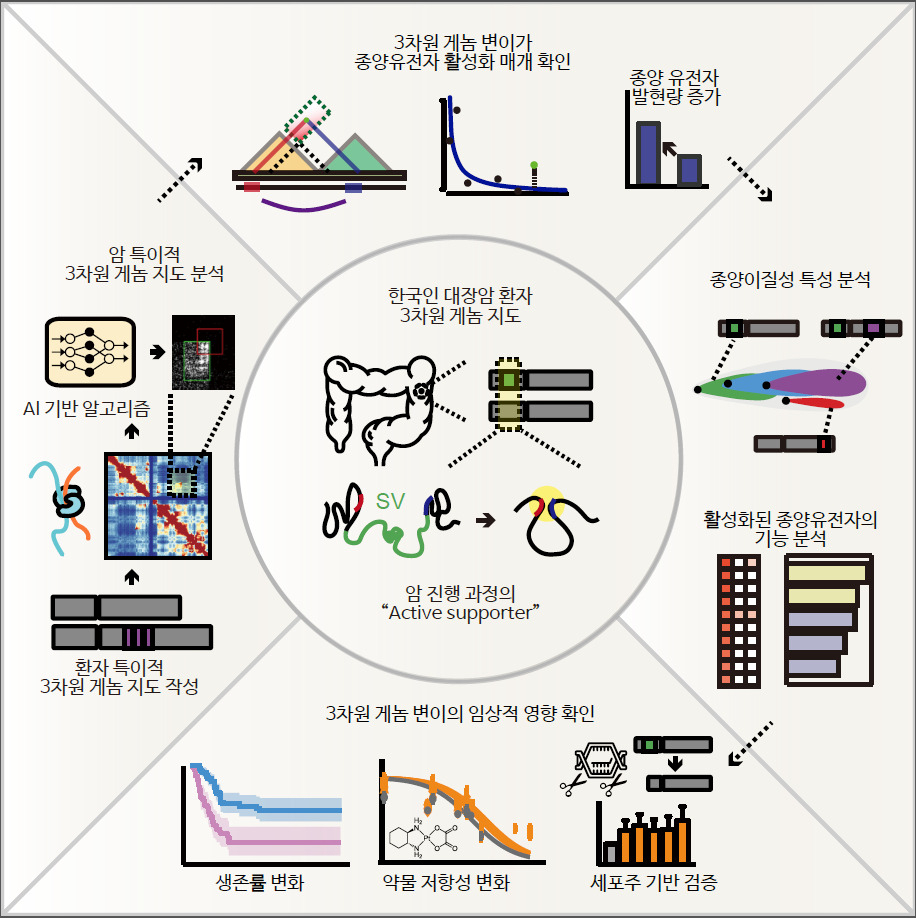 대장암 환자 3차원 게놈 지도 연구 모식도.[KAIST 제공]