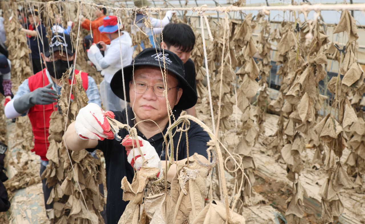 윤재옥 국민의힘 원내대표가 24일 충북 청주 흥덕구 오송읍 수해 농가 비닐하우스에서 복구작업을 돕고 있다. [연합]