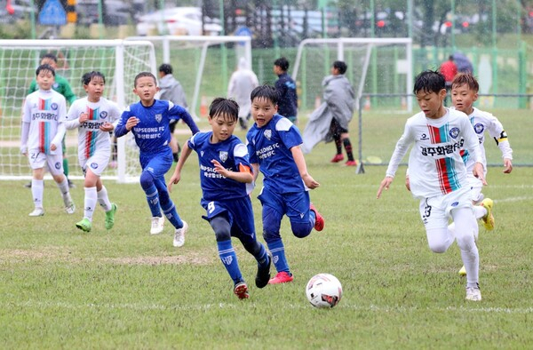 지난해 열린 화랑대기 전국 유소년축구대회 모습.[경주시 제공]