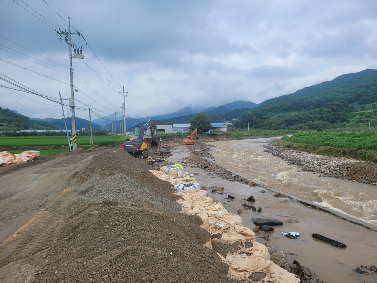 [경북도 제공]